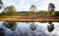 wahner heide