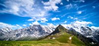 001 grindelwald