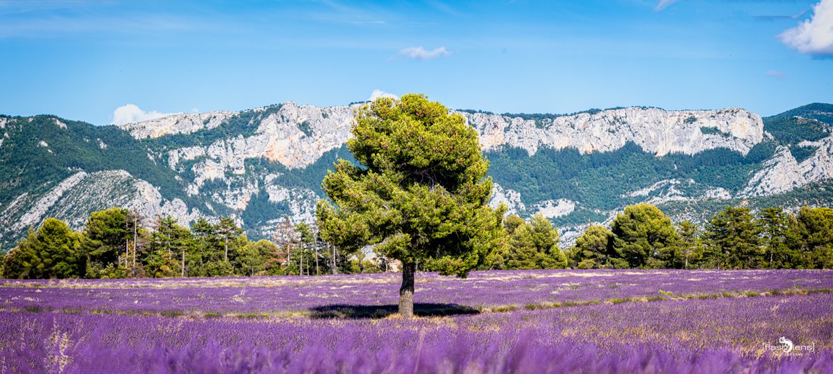 02 haute provence