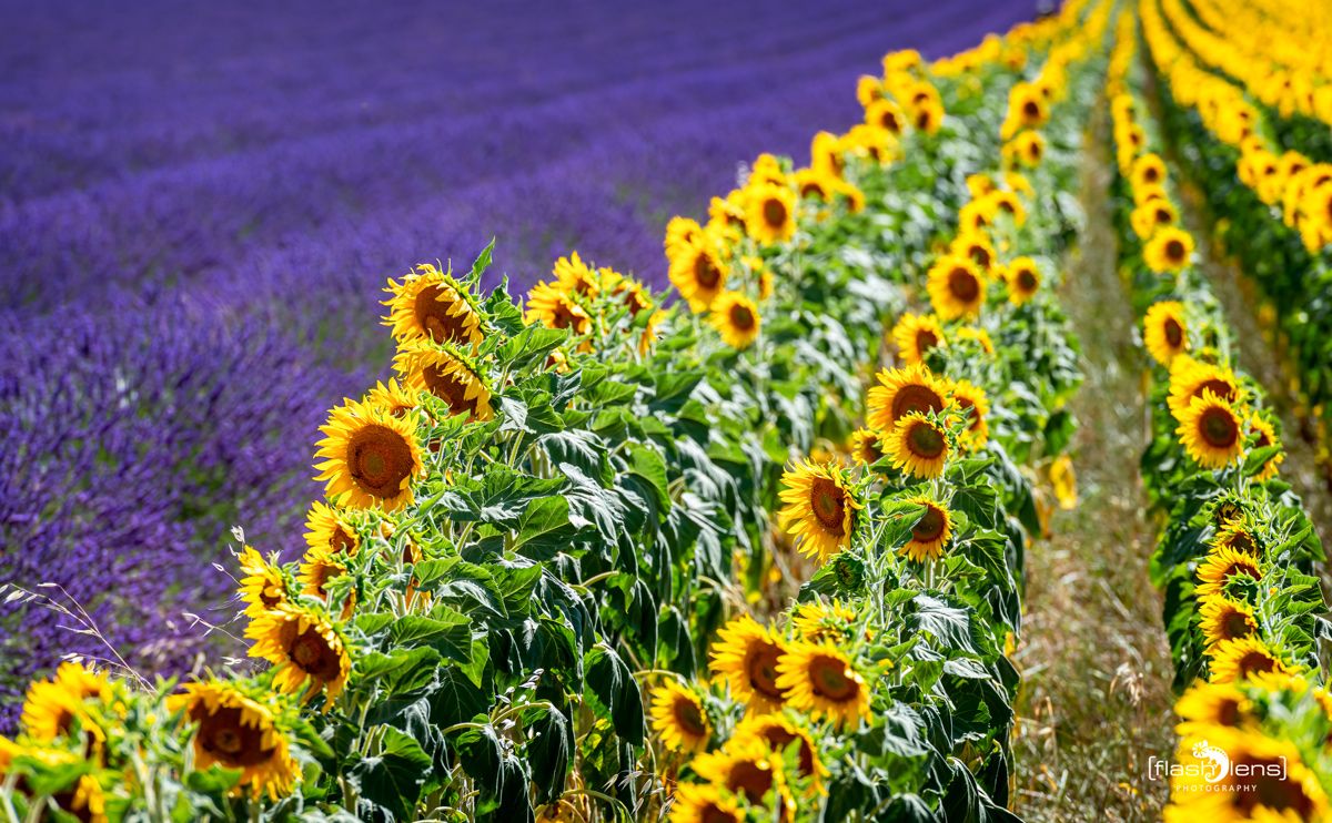 02 haute provence