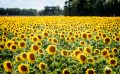 02 haute provence