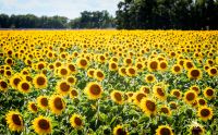02 haute provence