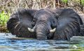 03 victoria nile