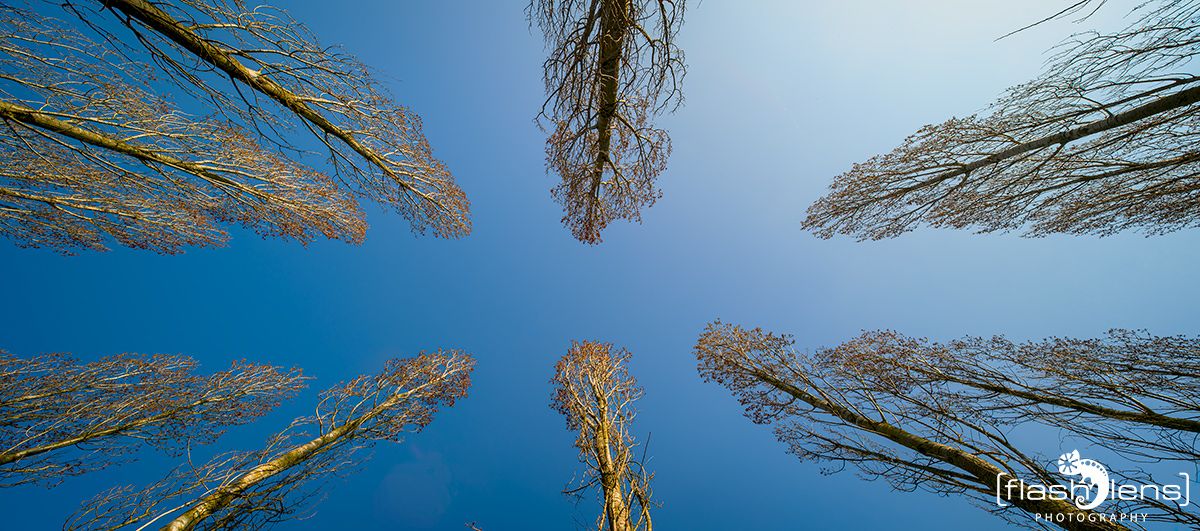 duesseldorf nordpark
