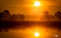 fotofahrt lueneburger heide 2021