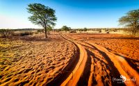 mariental