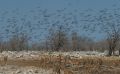 02 etosha