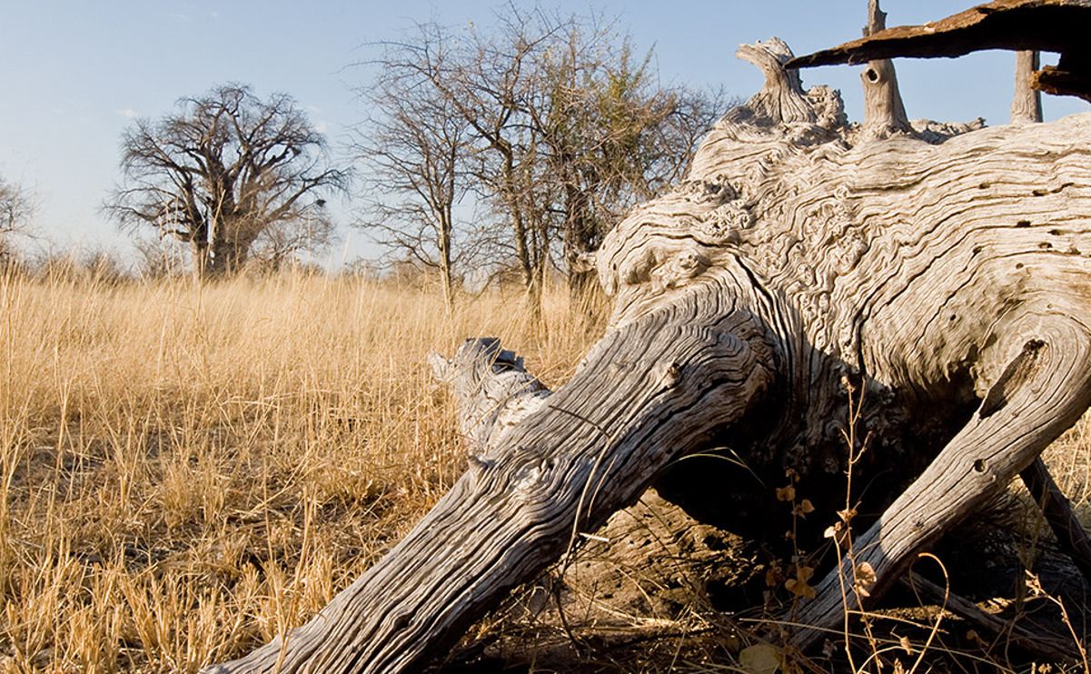 03 tsumkwe