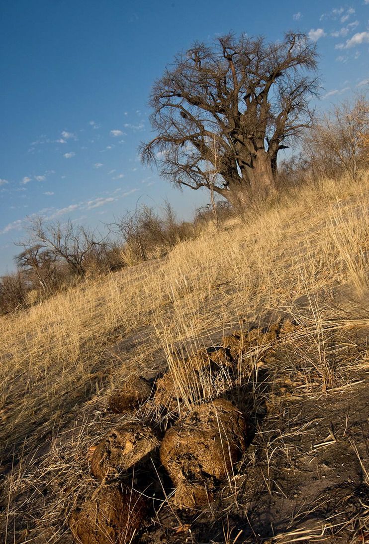 03 tsumkwe