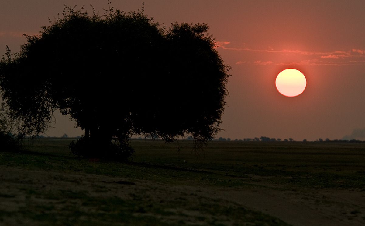 08 chobe river