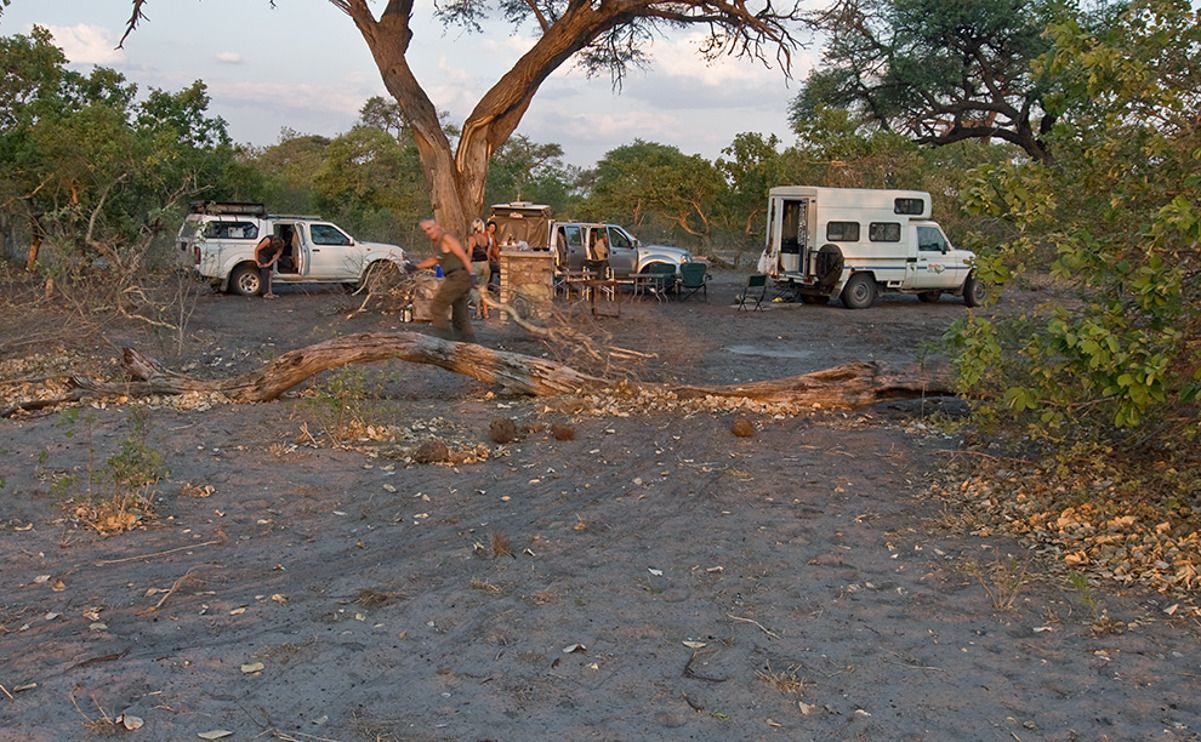 09 savuti
