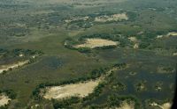 11 okavango delta