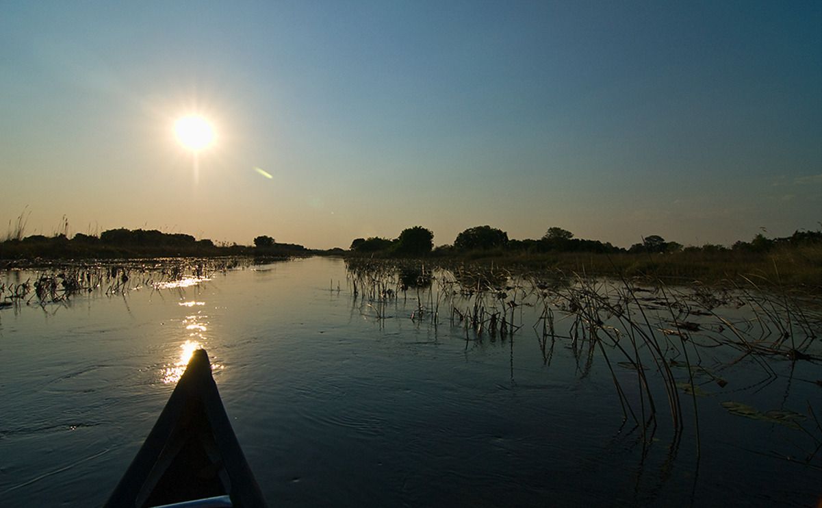 11 okavango delta