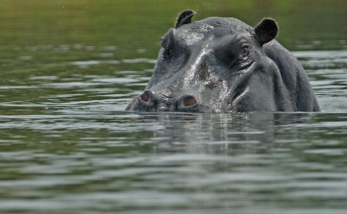 11 okavango delta