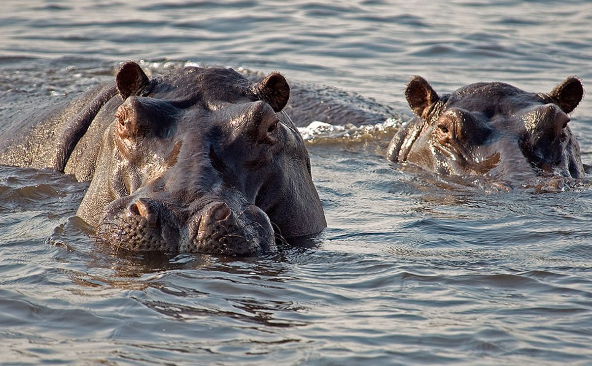 11 okavango delta