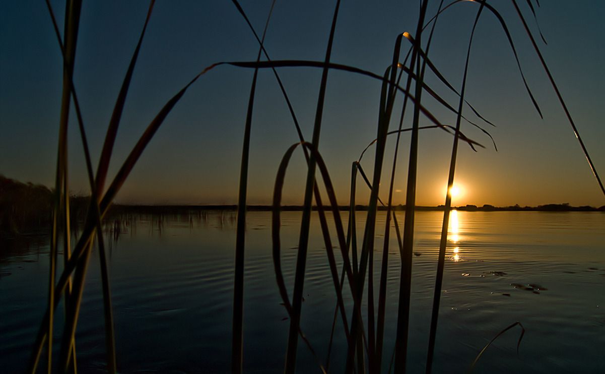 11 okavango delta