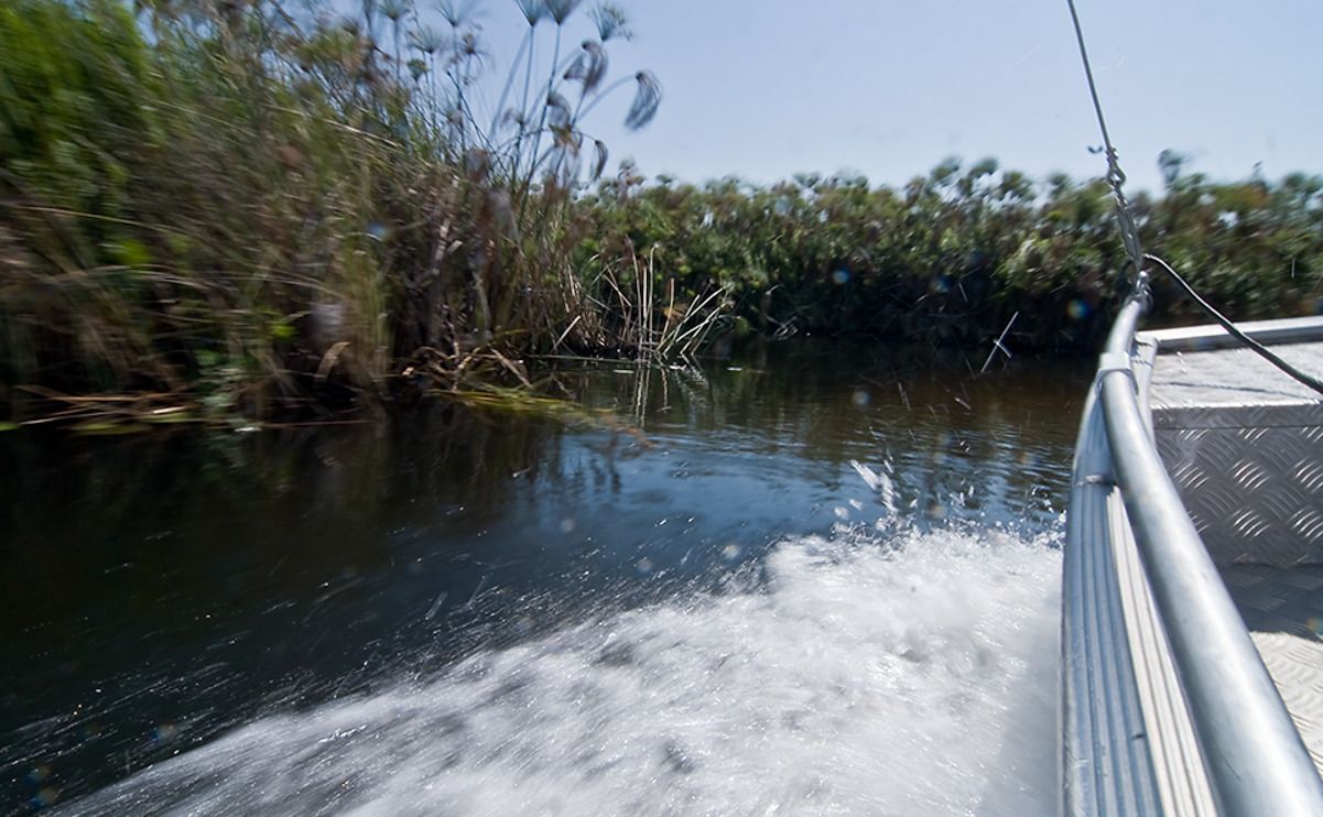 11 okavango delta