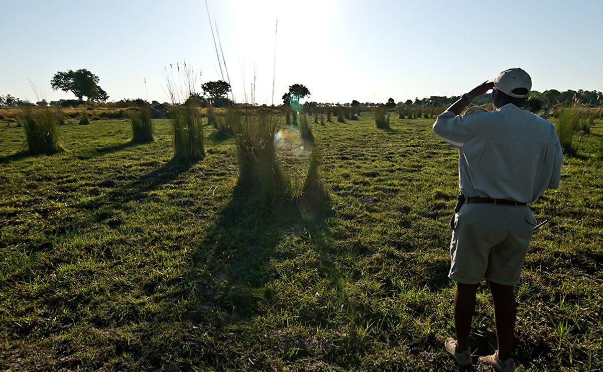 11 okavango delta