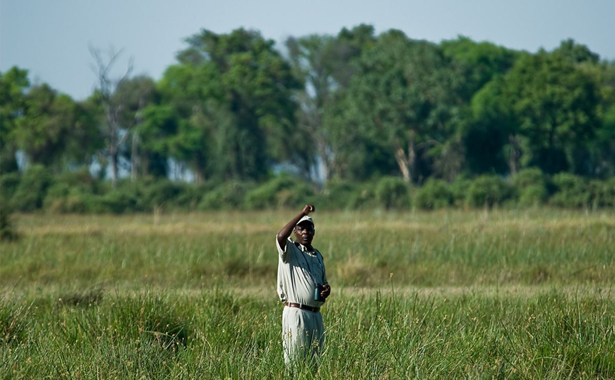 11 okavango delta