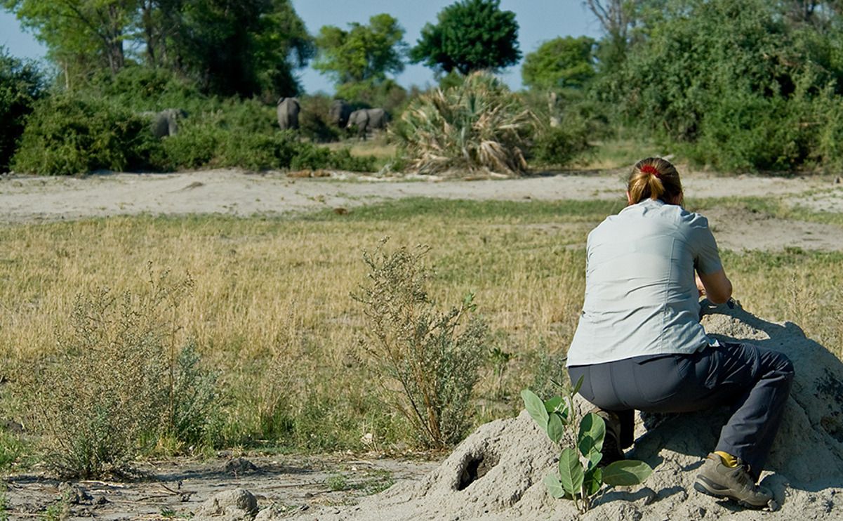 11 okavango delta