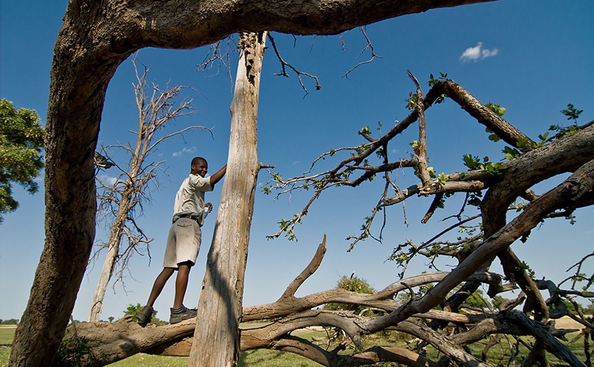 11 okavango delta