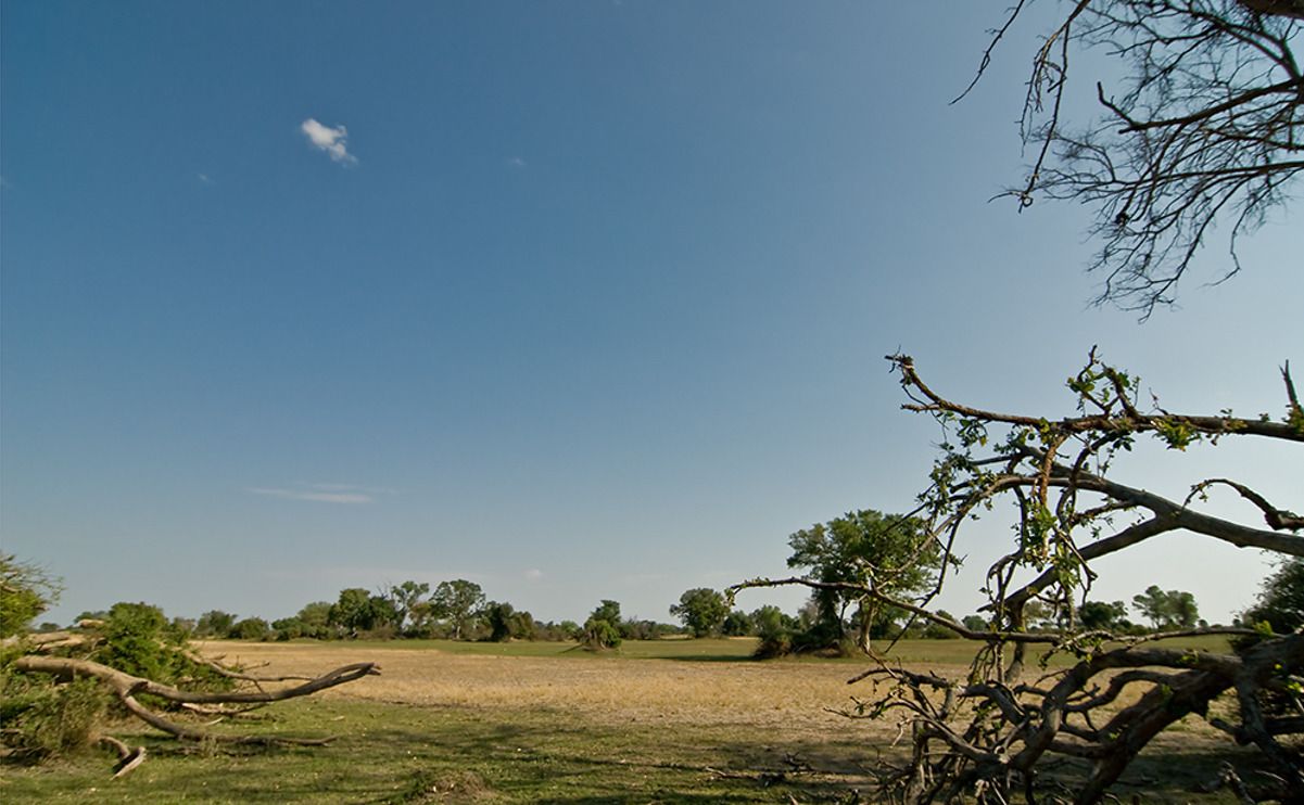 11 okavango delta
