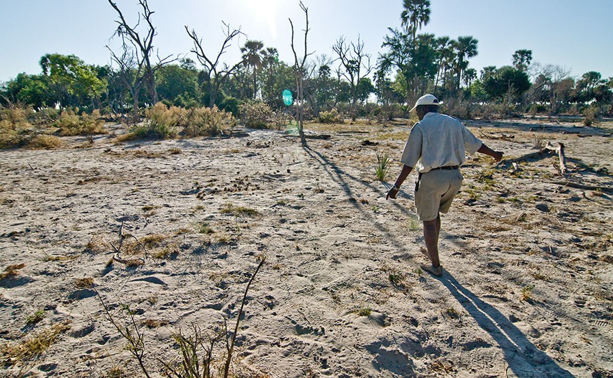 11 okavango delta