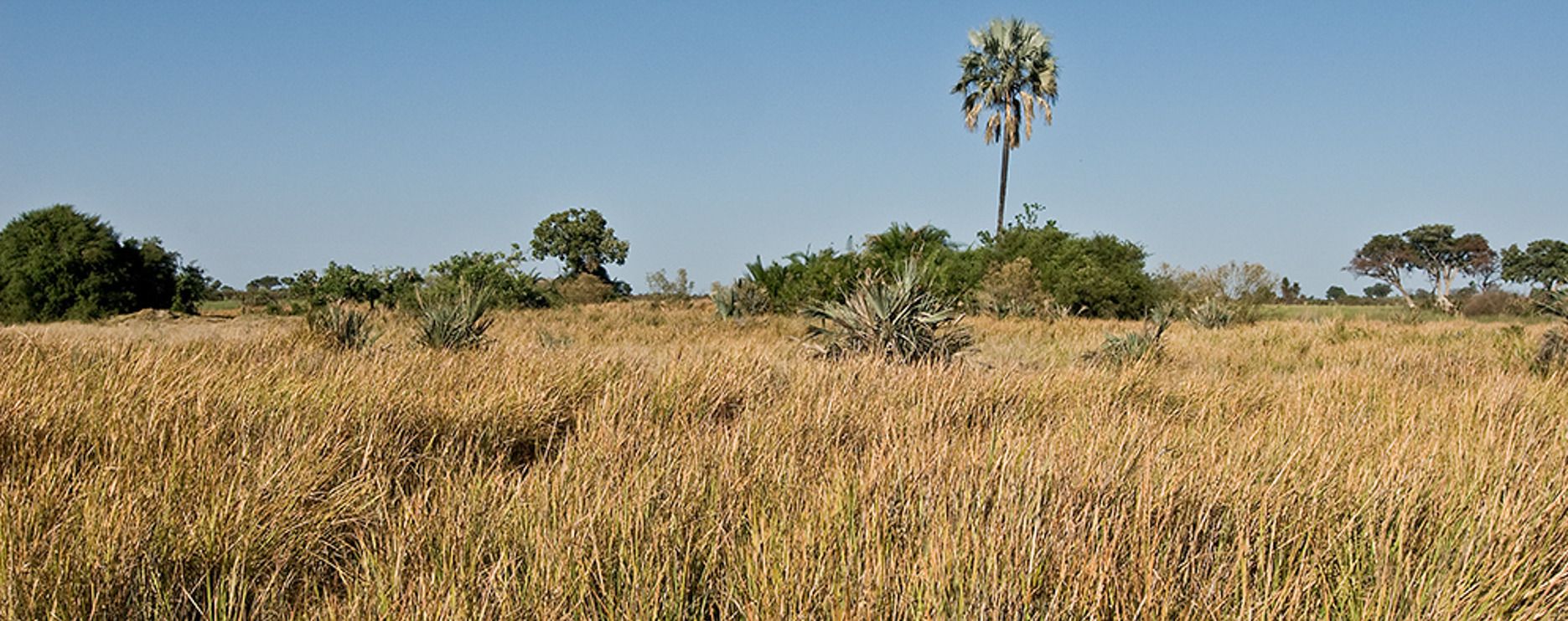 11 okavango delta