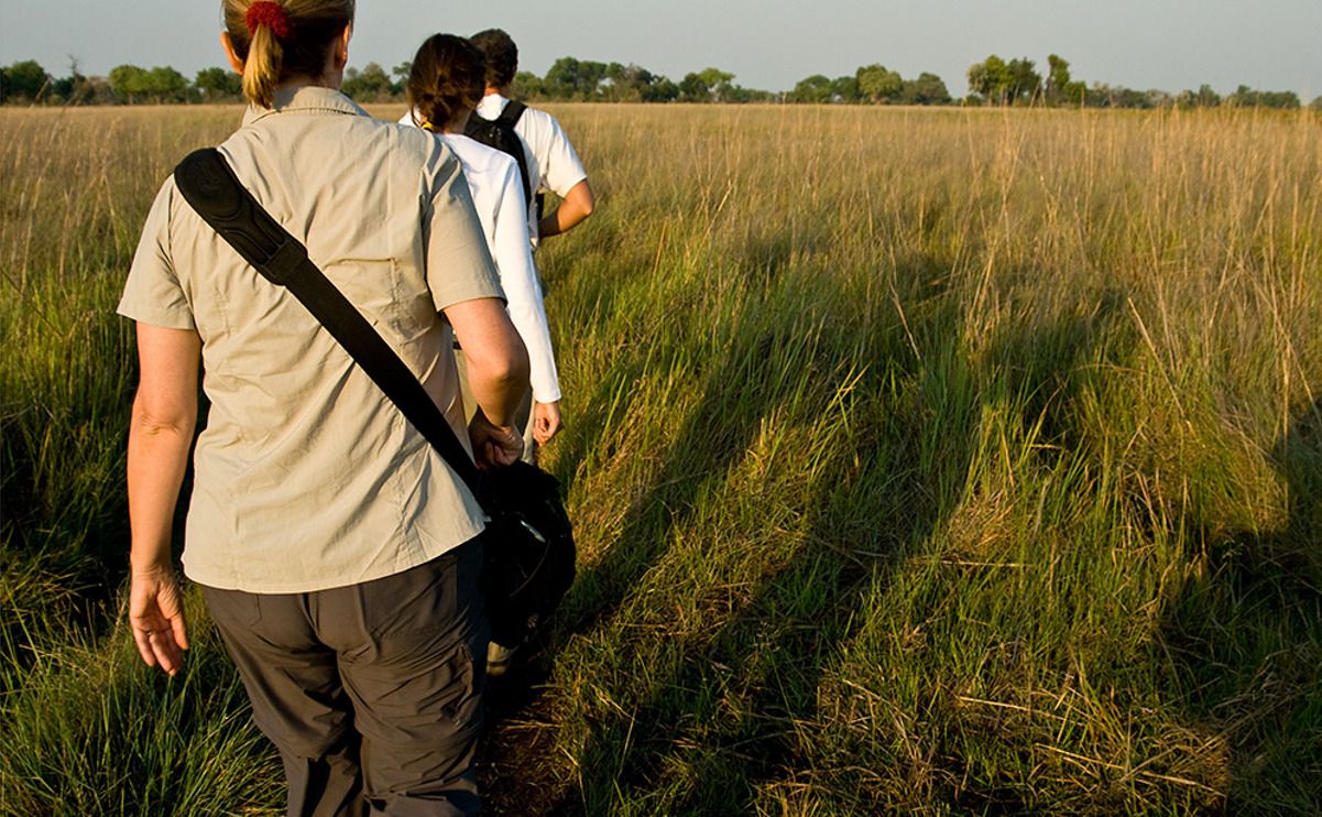 11 okavango delta