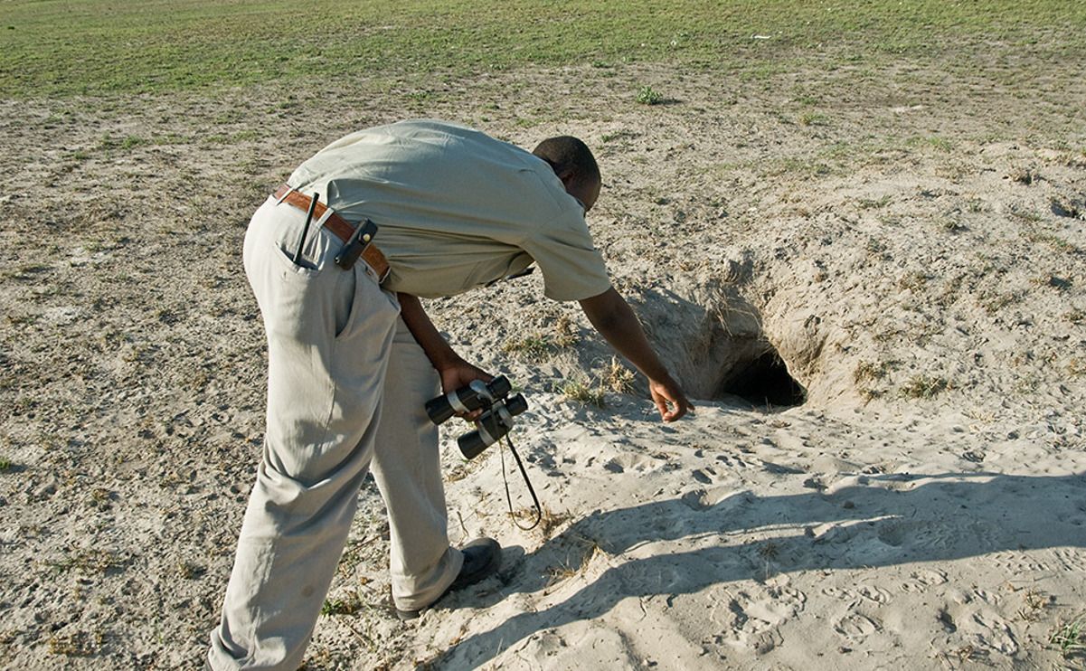 11 okavango delta