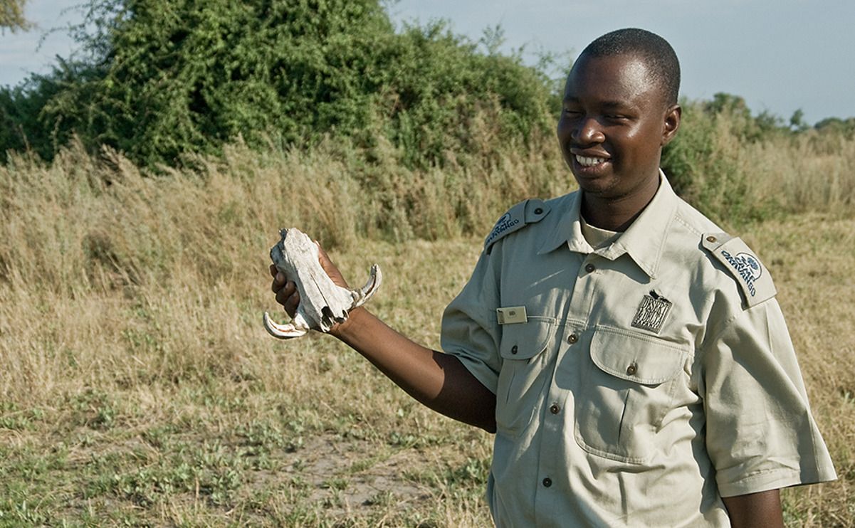 11 okavango delta