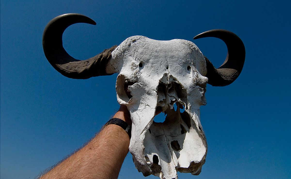 11 okavango delta