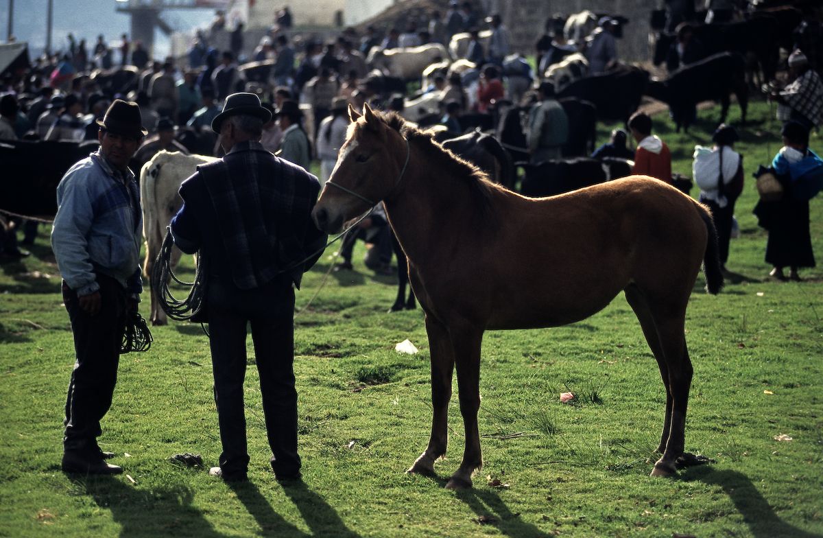 equador 1995