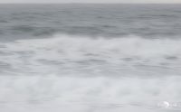 lofoten 2023