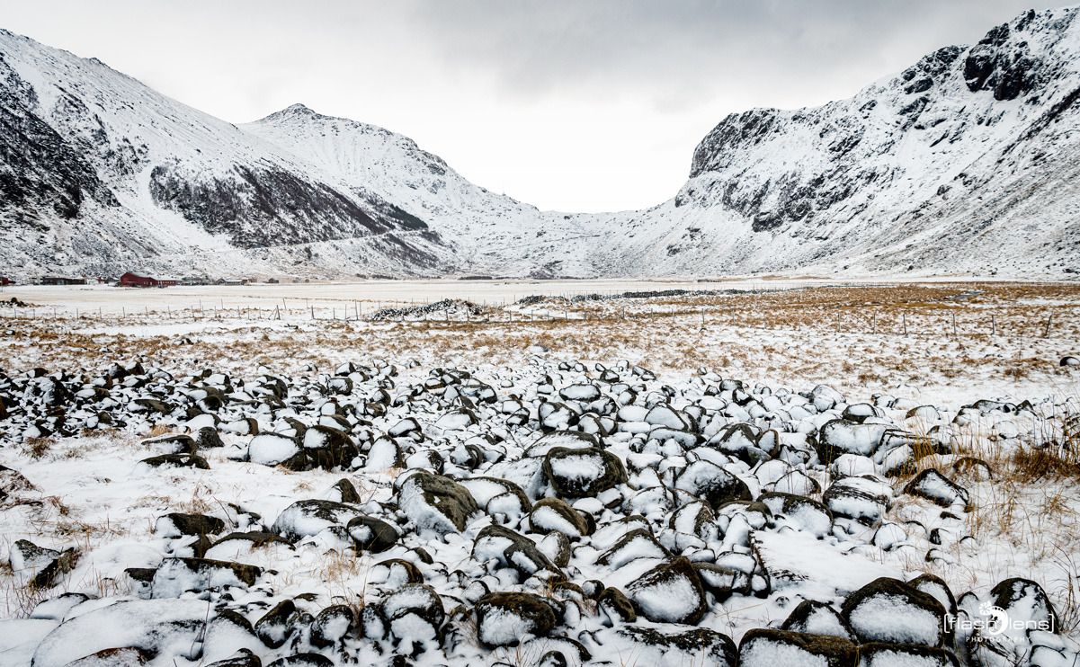 lofoten 2023