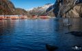 lofoten 2023