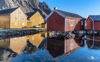 lofoten 2023