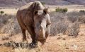 01 mariental