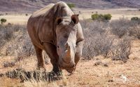 01 mariental