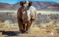 01 mariental