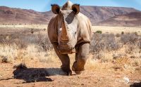 01 mariental