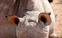 01 mariental