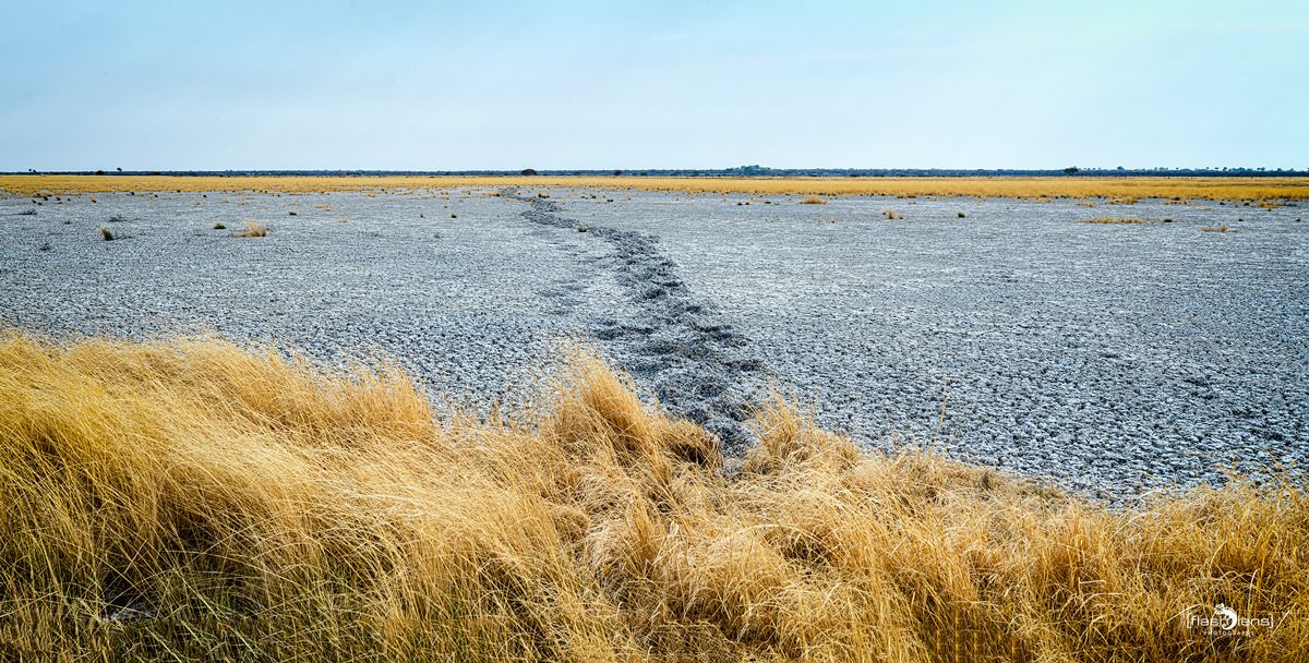 10 etosha