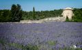 provence 2022