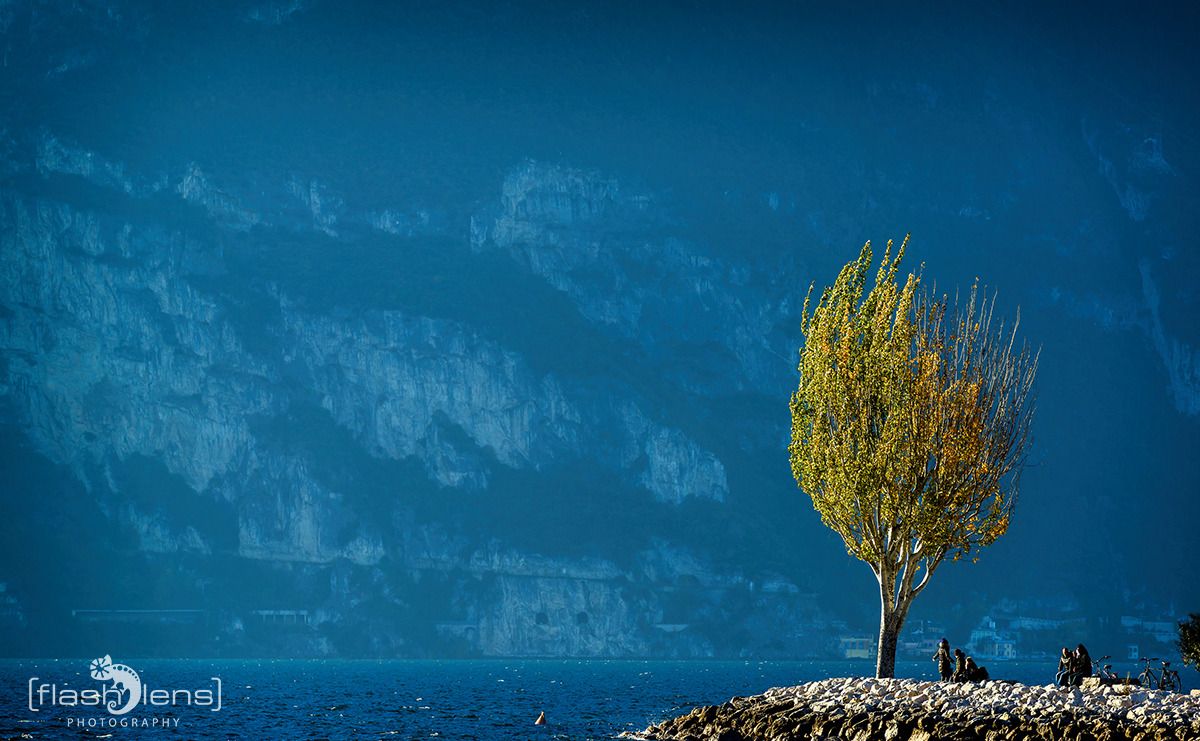 gardasee