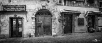 gardasee