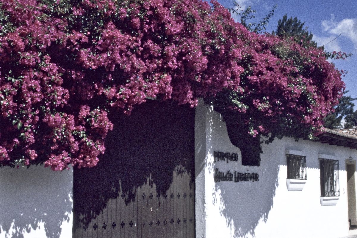 guatemala 1991