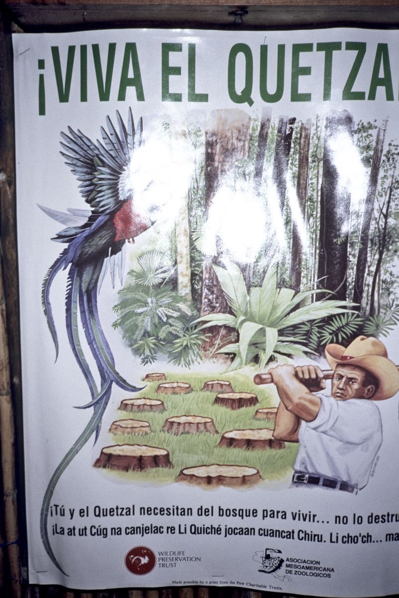 guatemala 1991
