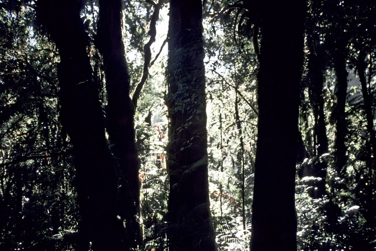 guatemala 1991