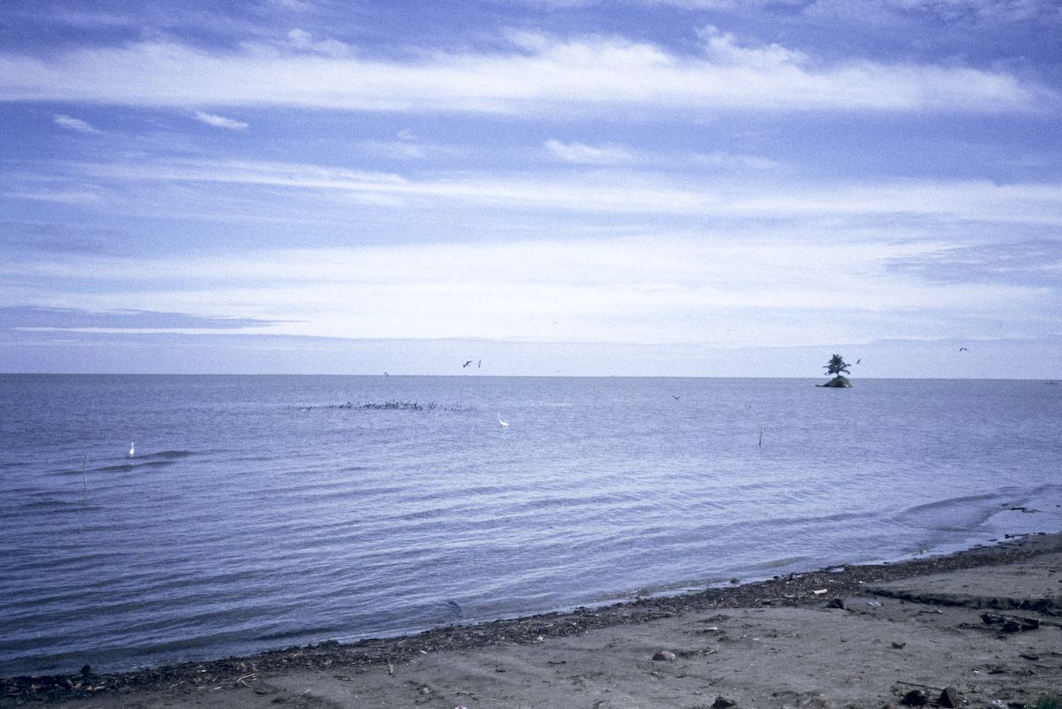 guatemala 1991